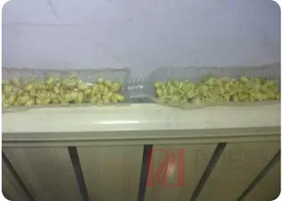 15436245331401.jpg 14.jpg